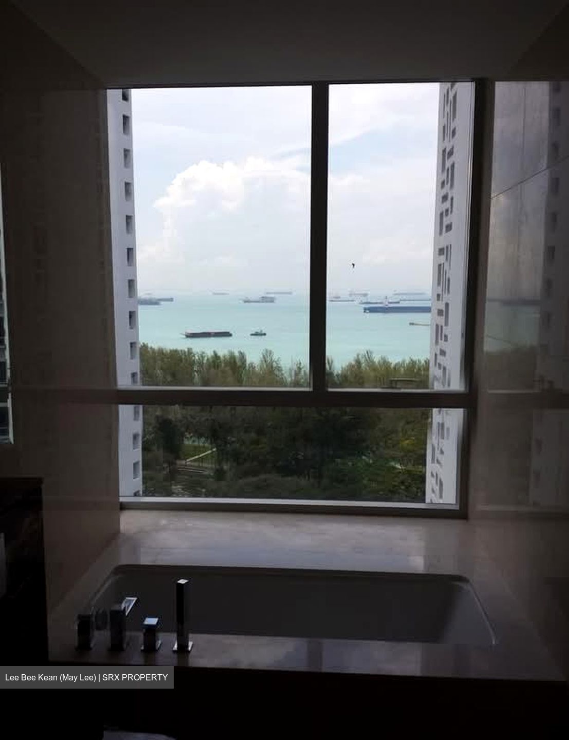 The Meyerise (D15), Condominium #599057871